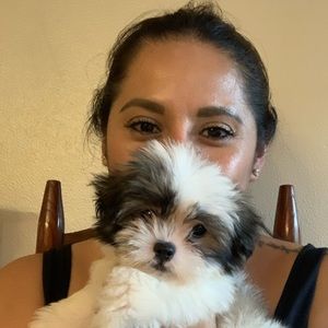 Meet your Posher, Maribel